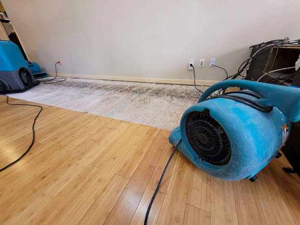 Professional Burst Pipe Water Damage technician working in New Castle, AL